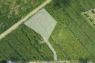 Lot 69 Magnolia Plantation, White Oak, GA 31568 - Photo 1
