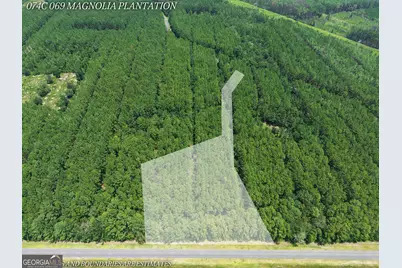 Lot 69 Magnolia Plantation, White Oak, GA 31568 - Photo 4