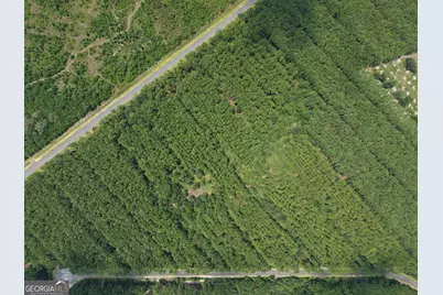 Lot 69 Magnolia Plantation, White Oak, GA 31568 - Photo 10