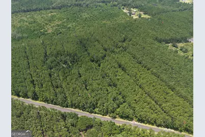 Lot 69 Magnolia Plantation, White Oak, GA 31568 - Photo 6