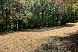 196 Old Scout Rd, Jackson, GA 30233 - Photo 32