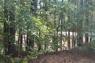 196 Old Scout Rd, Jackson, GA 30233 - Photo 8