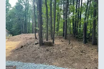 196 Old Scout Road, Jackson, GA 30233 - Photo 34