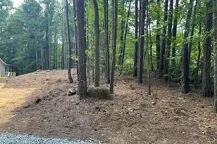 196 Old Scout Rd, Jackson, GA 30233 - Photo 34