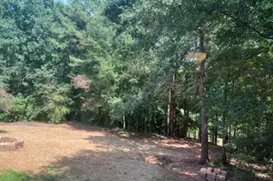 196 Old Scout Rd, Jackson, GA 30233 - Photo 32