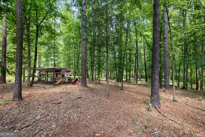 318 Teasley Trail, Moreland, GA 30259 - Photo 64