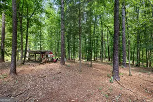 318 Teasley Trail, Moreland, GA 30259 - Photo 64
