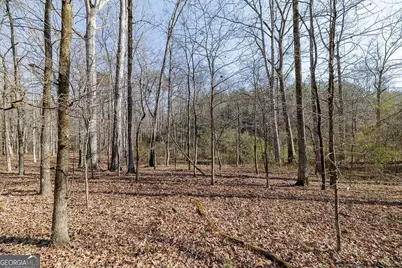 2644 Nunnally Shoals Tract 2 Road, Good Hope, GA 30641 - Photo 10