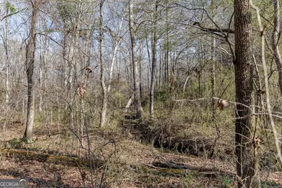 2644 Nunnally Shoals Tract 2 Road, Good Hope, GA 30641 - Photo 12