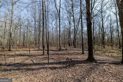 2644 Nunnally Shoals Tract 2 Road, Good Hope, GA 30641 - Photo 8
