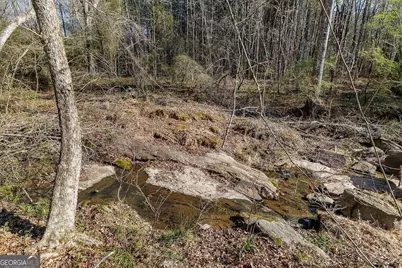 2644 Nunnally Shoals Tract 2 Road, Good Hope, GA 30641 - Photo 14