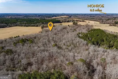 2644 Nunnally Shoals Tract 2 Road, Good Hope, GA 30641 - Photo 2