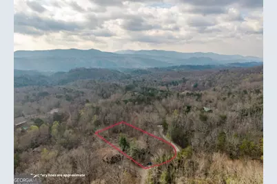 97 Fox Mountain Crossing Road, Blue Ridge, GA 30513 - Photo 22