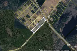 0 Old Montrose Rd, Montrose, GA 31065 - Photo 1