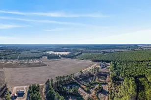 2051 Oliver Hwy, Newington, GA 30446 - Photo 30