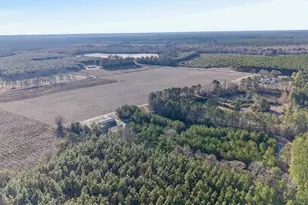 2051 Oliver Hwy, Newington, GA 30446 - Photo 28