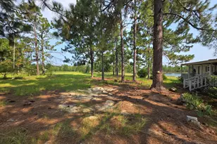 46 Tony Baker Ln, Garfield, GA 30425 - Photo 38