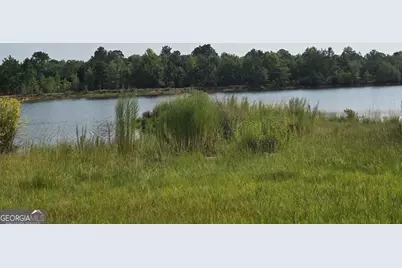 46 Tony Baker Lane, Garfield, GA 30425 - Photo 34