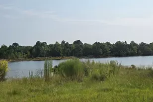 46 Tony Baker Ln, Garfield, GA 30425 - Photo 34