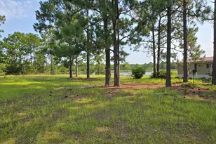 46 Tony Baker Ln, Garfield, GA 30425 - Photo 10