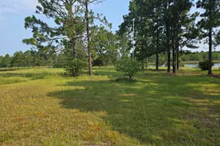 46 Tony Baker Ln, Garfield, GA 30425 - Photo 4
