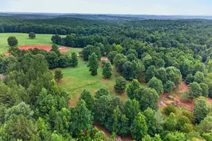 343 Torbet Dr, Forsyth, GA 31029 - Photo 54