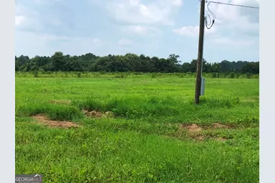 0 Mosley Road, Uvalda, GA 30473 - Photo 6