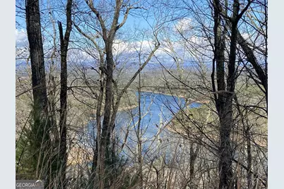 #139 Genessee Path, Blue Ridge, GA 30513 - Photo 1