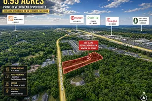 395 Carl Bethlehem Rd, Bethlehem, GA 30620 - Photo 8