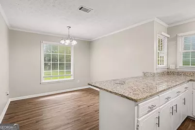 152 Olde Hampton Way, Hampton, GA 30228 - Photo 8