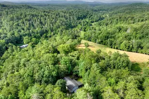 387 Ruby Ln, Mineral Bluff, GA 30559 - Photo 64