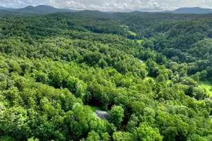 387 Ruby Ln, Mineral Bluff, GA 30559 - Photo 62