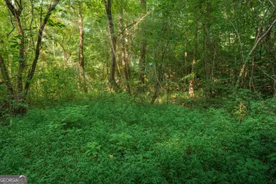 0 Bill Smith Drive, Canton, GA 30114 - Photo 20