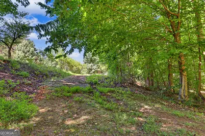 422 Fair Valley Road, Demorest, GA 30535 - Photo 6