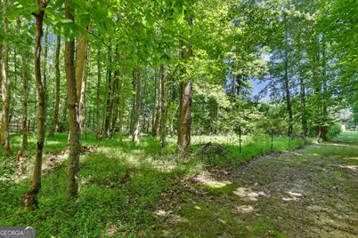 422 Fair Valley Road, Demorest, GA 30535 - Photo 8