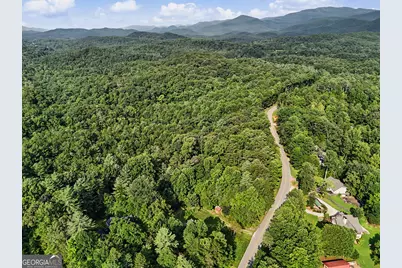 2597 Burton Dam Road, Clarkesville, GA 30523 - Photo 4