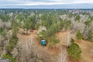 241 Foskey Cemetary Rd, Adrian, GA 31002 - Photo 70