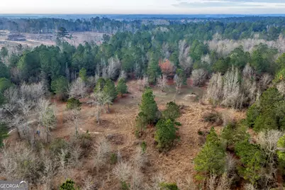 241 Foskey Cemetary Road, Adrian, GA 31002 - Photo 68