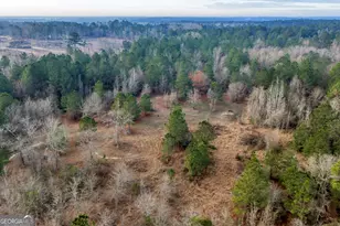 241 Foskey Cemetary Rd, Adrian, GA 31002 - Photo 68