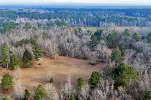 241 Foskey Cemetary Rd, Adrian, GA 31002 - Photo 62