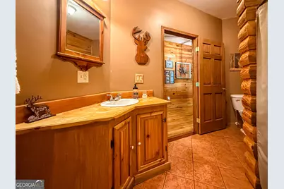 187 Still Water Way, Demorest, GA 30535 - Photo 36