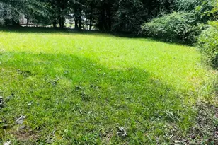 173 Pear Valley Dr, Clarkesville, GA 30523 - Photo 24