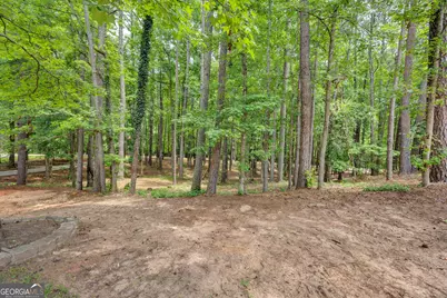245 Westchester Drive, Griffin, GA 30223 - Photo 68