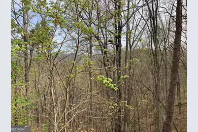 7026 Peebles Road, Young Harris, GA 30582 - Photo 24