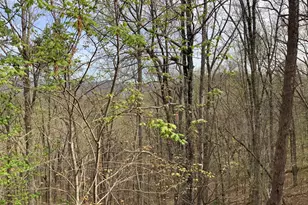 7026 Peebles Rd, Young Harris, GA 30582 - Photo 24