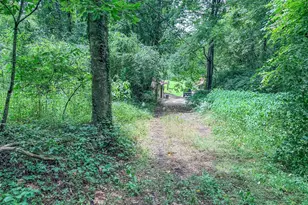 122 Crawford Cove Rd, Sylva, NC 28725 - Photo 60