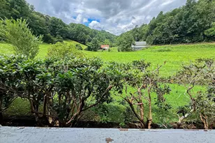 122 Crawford Cove Rd, Sylva, NC 28725 - Photo 20