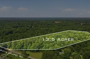 308 Pitts Chapel Rd, Newborn, GA 30056 - Photo 1