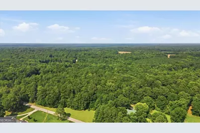 308 Pitts Chapel Road, Newborn, GA 30056 - Photo 6