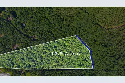 308 Pitts Chapel Road, Newborn, GA 30056 - Photo 10